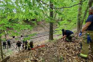 Missing Woman Found By Central Jersey Hiker In 675-Acre Park