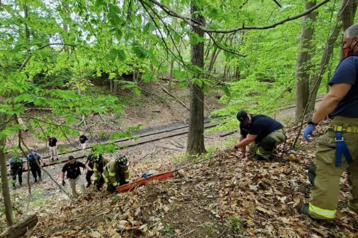 Missing Woman Found By Central Jersey Hiker In 675-Acre Park