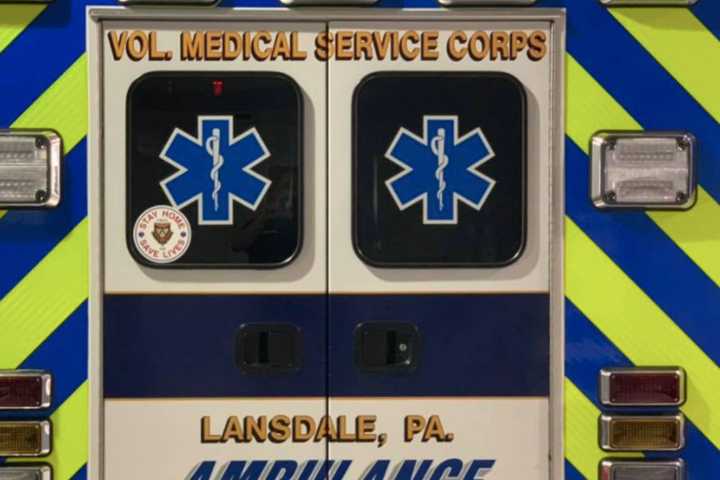 Boy Attacked By Dog In Lansdale