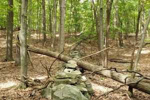 Man Found Dead On Park Trail In Hudson Valley