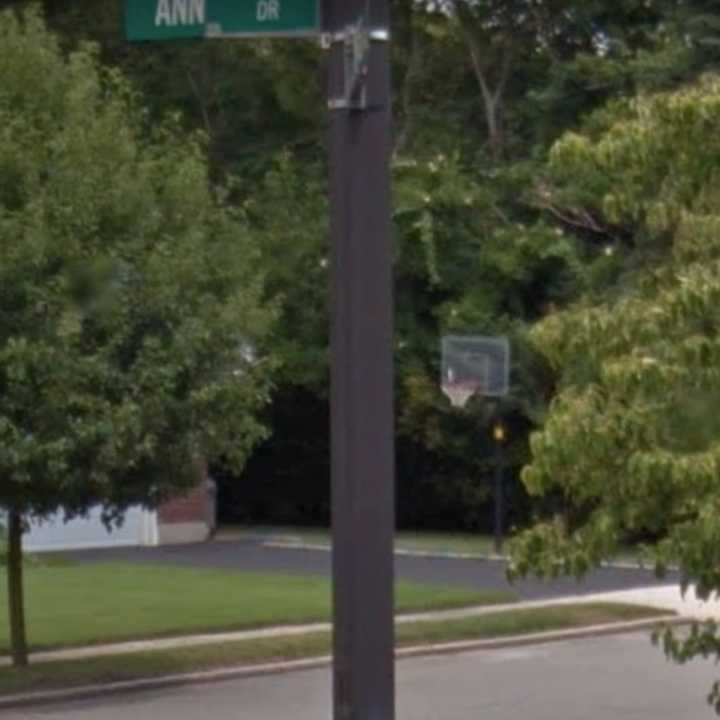 Ann Drive in Syosset.