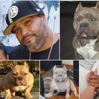 <p>Lou Nunez was seriously injured on a crash on the NJ Turnpike that killed two of his three dogs.</p>