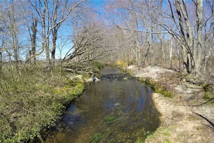 Police Investigating After Man's Body Found In Long Island Preserve