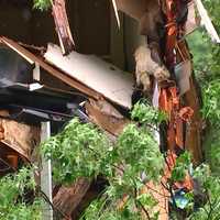 <p>The entire back of the house was destroyed by the large tree.</p>