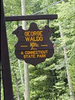 CT Reinstates Alcohol Ban At Six State Parks Due To Parties, Unruly Behavior