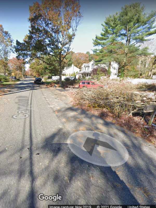 Long Island Woman Critically Injured While Cutting Down Tree