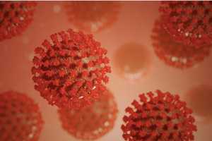 COVID-19: Virus Was In Five States Before First Official Cases Reported, New Research Reveals