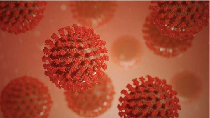 Coronavirus was already rapidly spreading in multiple states before the first official case was reported, according to new research.