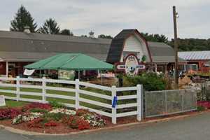 ‘Sick To Our Stomachs:’ More Than A Dozen Ducks Stolen From Sussex County Farm