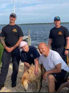 HEROES: State Troopers Rescue Missing Golden Retriever, 'Chunk', Swimming Off Jersey Shore