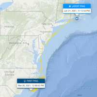 <p>OCEARCH has been tracking Freya up the East Coast.</p>