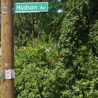 <p>Hudson Avenue in Roosevelt.</p>