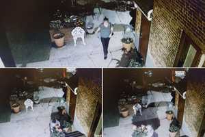 RECOGNIZE HER? Police Seek ID For Porch Planter Thief In Hellertown