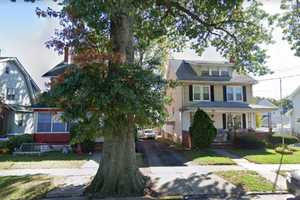 DEVELOPING: Bloomfield DPW Worker Apparently Struck By Tree