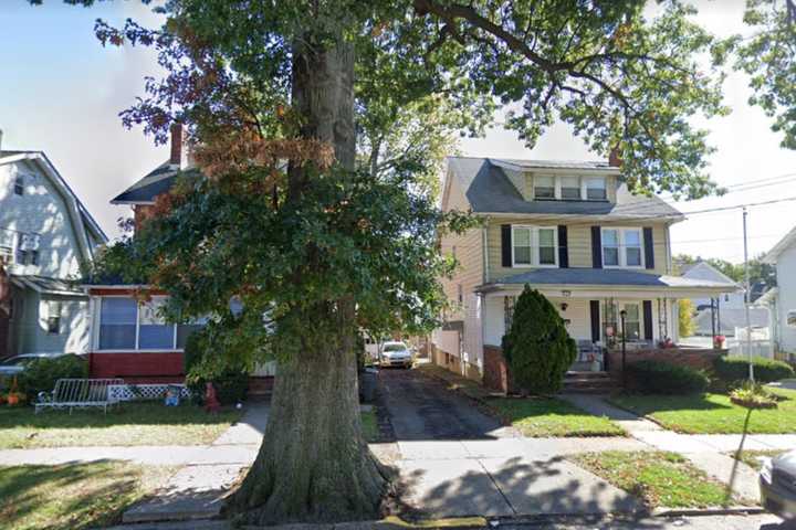 DEVELOPING: Bloomfield DPW Worker Apparently Struck By Tree