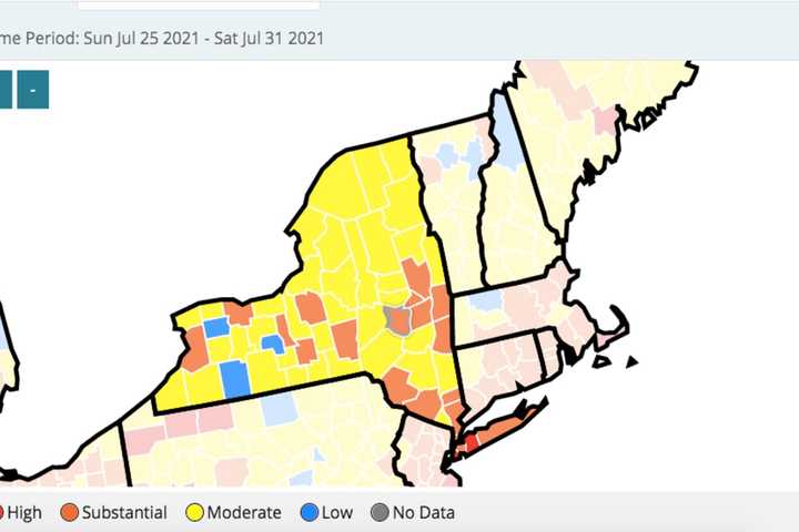 COVID-19: 12 More NY Counties Reach CDC Level Recommending Indoor Mask Use In Public Settings