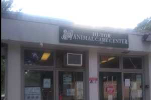 Rockland DA Serves Search Warrant At Hi-Tor Animal Shelter In Pomona