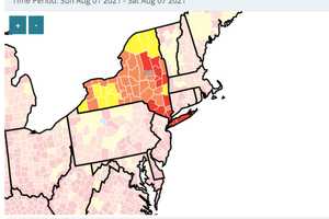 COVID-19: 18 NY Counties Reach CDC Level's High Level For Community Spread