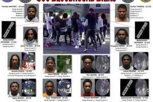 14 Charged In Violent Westchester Gang Assault