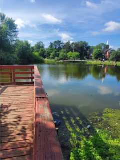 Man Drowns While Swimming At Pond In Area, Police Say