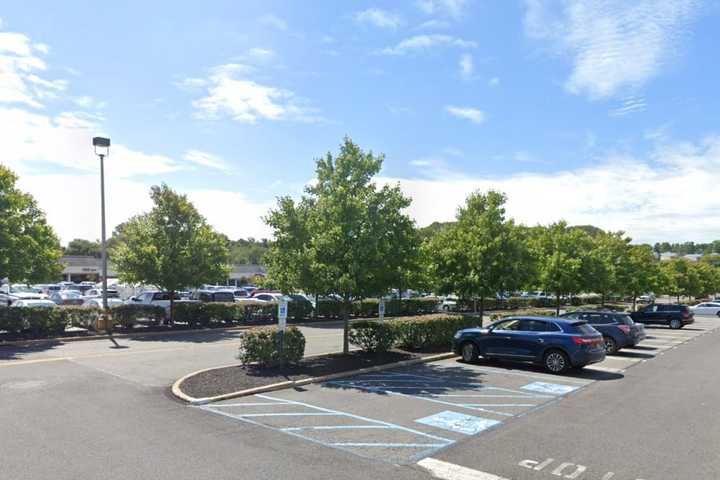 Somerset County Woman Left Dog In Hot Car At HomeGoods Parking Lot, Chester Police Say