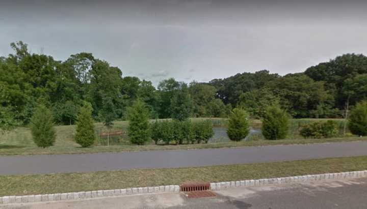 One of several ponds along Colemantown Drive in Chesterfield Township.