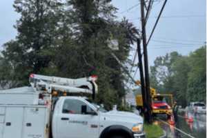 Downed Tree Limbs, Wires Knock Out Power In Ridgefield; Road Closure Reported In Pound Ridge