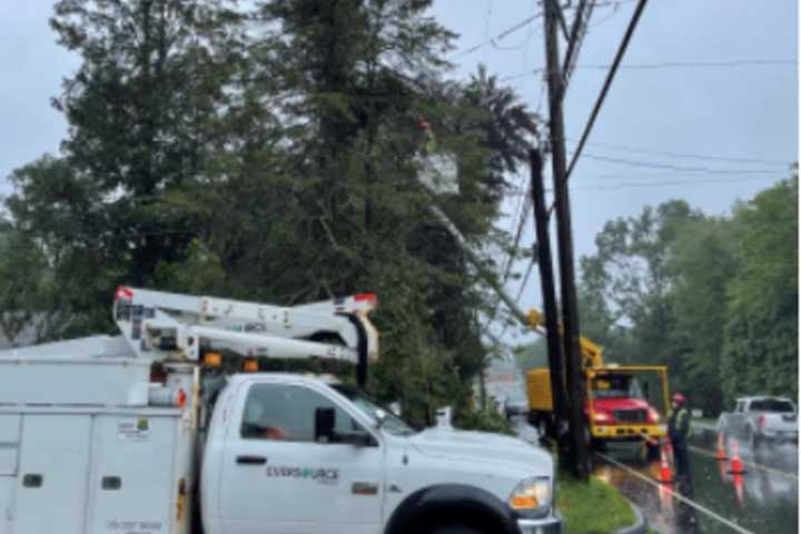 Downed Tree Causes Road Closure In Pound Ridge