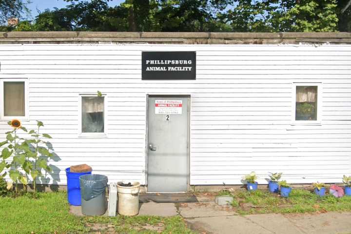 Phillipsburg Animal Facility Evacuated, Closed Until Further Notice Due To Flooding