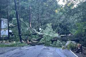 Here’s How Many Sussex County Residents Lost Power Due To Damage From Hurricane Ida Remnants