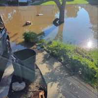 <p>The damage Thursday morning in Saddle Brook.</p>