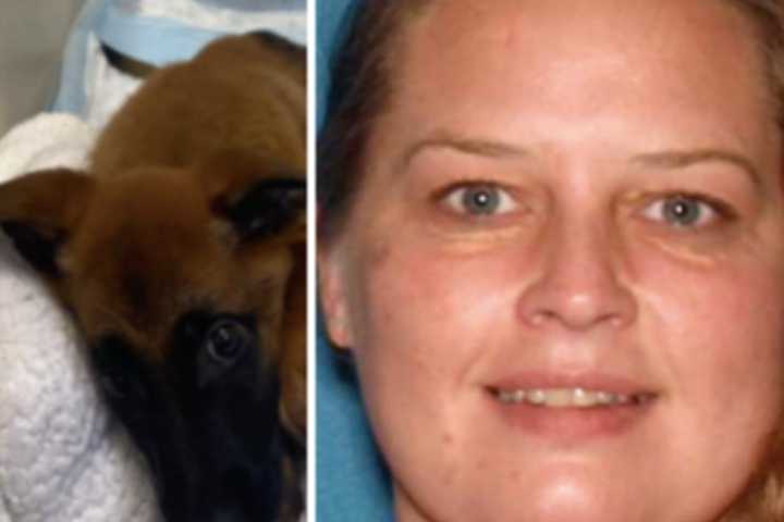 NJ Woman Who Abandoned Dogs Tethered To Trees Faces Charges In 3 Towns: Prosecutor