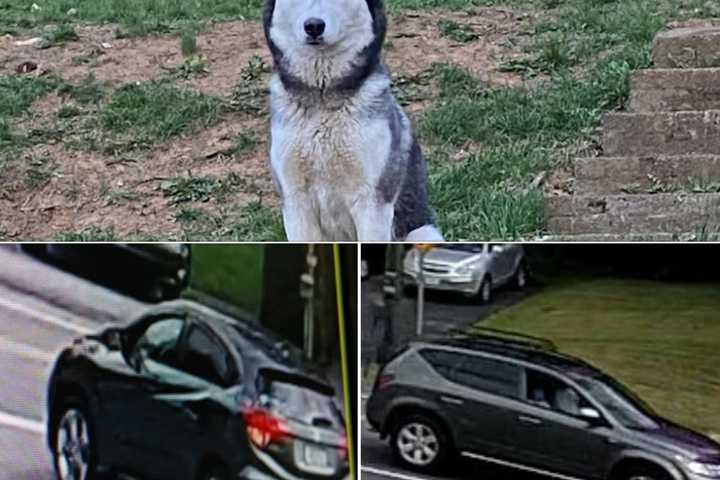 KNOW THIS CAR? Police Seek Suspect Vehicle In Bethlehem Husky Theft