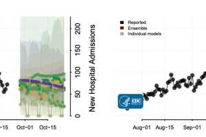 COVID-19: Projections On Cases, Deaths In Weeks Ahead Released By CDC; What To Expect In MA