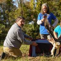 <p>Metro-North celebrates the release of a red-tailed hawk saved by a train engineer.</p>