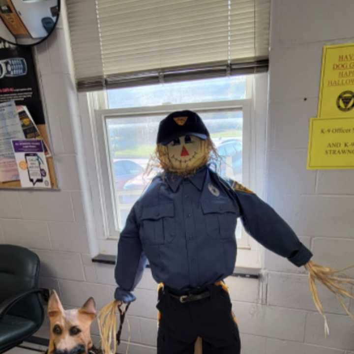 Boo! K-9 Officer Stanley and his partner, K-9 Strawng are guarding the West Deptford Police Department lobby this Halloween season.