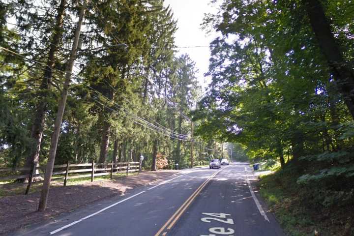 Driver Killed, Another Hurt After Tree Branch Falls On Cars In Morris County, Police Say