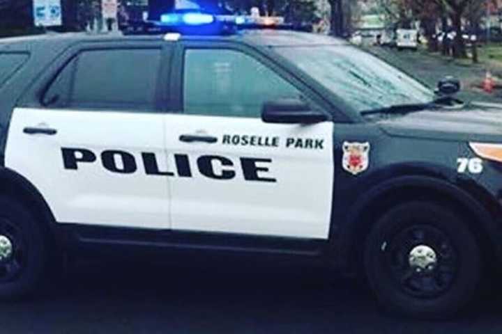 Roselle Park Crossing Guards, Police Officer Assaulted By Elizabeth Boy: Authorities