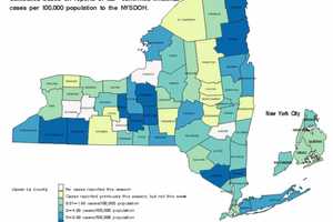 NY Sees Increase In Flu Cases: Here Are Most Affected Counties