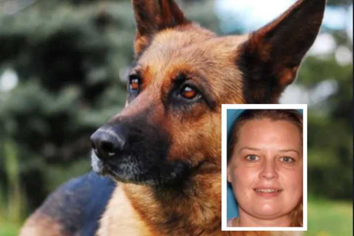 NJ Woman Indicted On Animal Abuse Charges After Dogs Found Abandoned For Days: Authorities