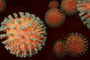 COVID-19: Infection Rate Back Below 8 Percent In CT, Hospitalizations Approach 200