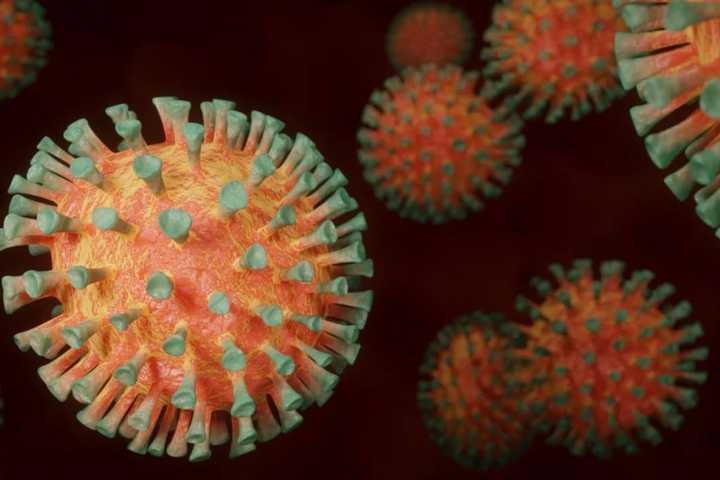 COVID-19: These South Jersey Counties Have Highest Coronavirus Rates