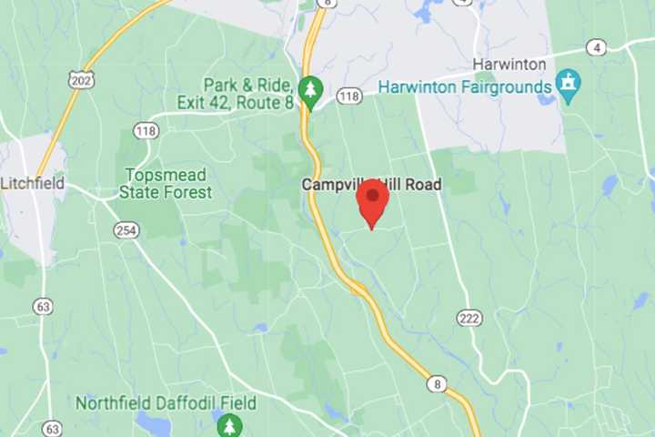 Skeletal Remains Discovered In Wooded Area In Region, Police Say