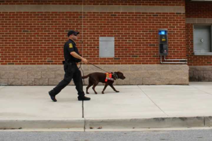 Body Found On University Of Maryland Campus