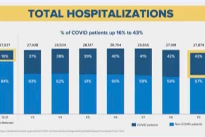 COVID-19: Hochul Sees 'Glimmer Of Hope' In NY, Though Hospitalizations Remain A Concern