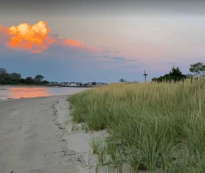 Gull Island