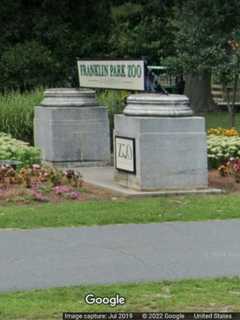 Worcester Man Arrested After Trying To Access Tiger Enclosure At Zoo