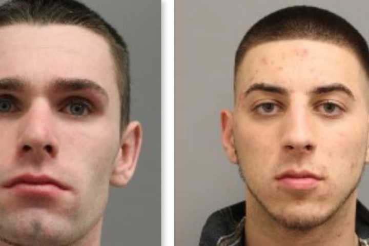 Duo From Smithtown, Port Jefferson Station Nabbed For Allegedly Impersonating Police Officers