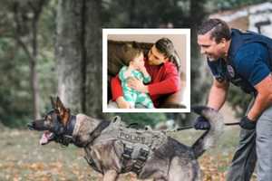 PA K9 Officer Dies After Suffering Brain Injury Caused By Bee Sting