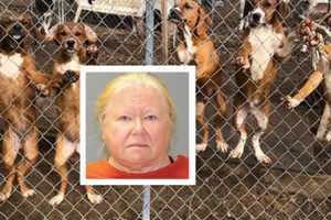 NJ Woman Hoarding 44 Dog Carcasses Admits To Killing 6, Gets Prison Time: Prosecutor